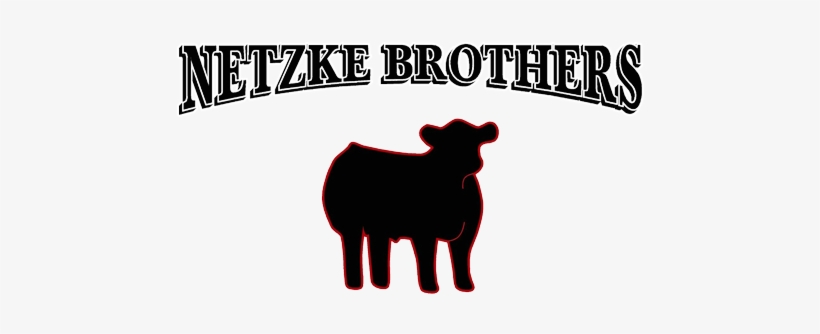 Netzke Brothers Cattle Winners - Show Cattle Clip Art, transparent png #1338450