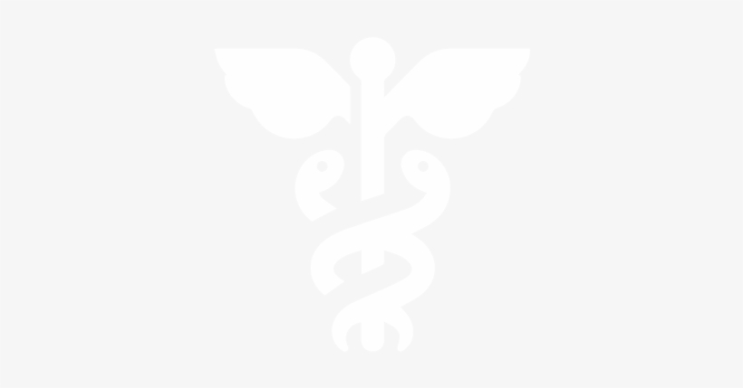 Customer Success Story - Healthcare Icon White, transparent png #1339245