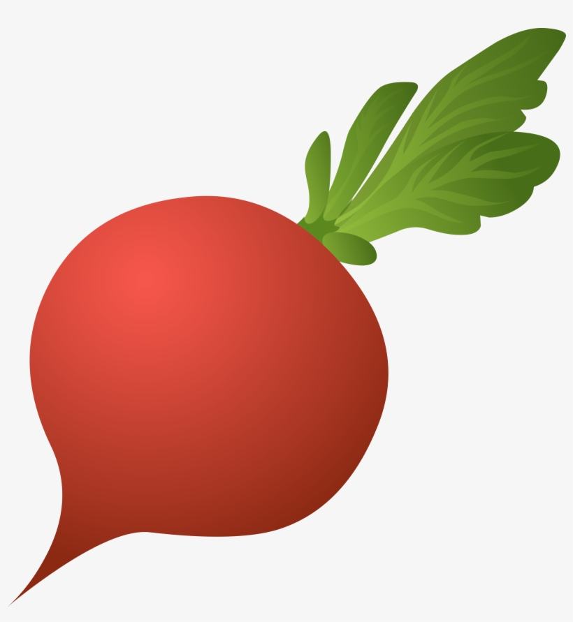 Beet Png - Radish Clipart Png, transparent png #1339846