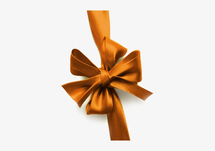The Plaza Gift Vouchers - Gift Voucher Ribbon Png, transparent png #1340949