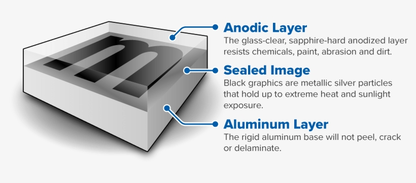 Metalphoto Cross-section - Portable Network Graphics, transparent png #1341892