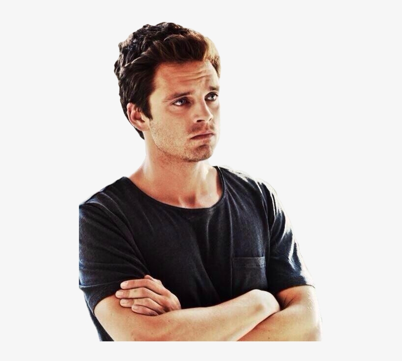 “ Transparent Sebastian Silently Judging ” - Sebastian Stan Puppy Eyes, transparent png #1342190