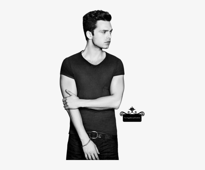 Share This Image - Sebastian Stan Black And White, transparent png #1342236