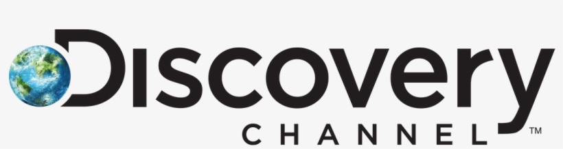 Client - Client - Client - Client - Discovery Networks Logo Png, transparent png #1342251