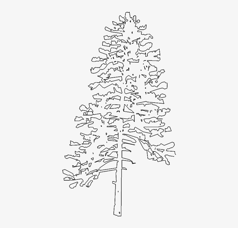 tree line drawing, Side view, graphics trees elements single object outline  minimal plant symbol for architecture and landscape design. Vector  illustration in stroke fill in white. forest, tropical. 25526346 Vector Art  at