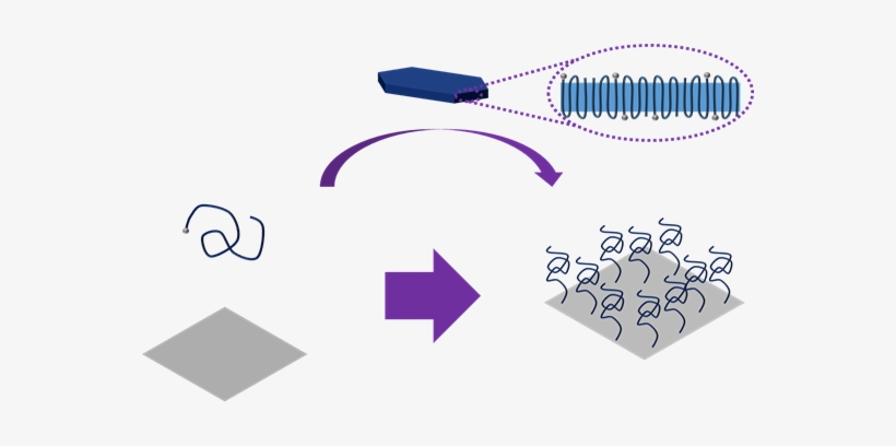 Reserchers Roll Out New Method For Making The Invisible, transparent png #1342369
