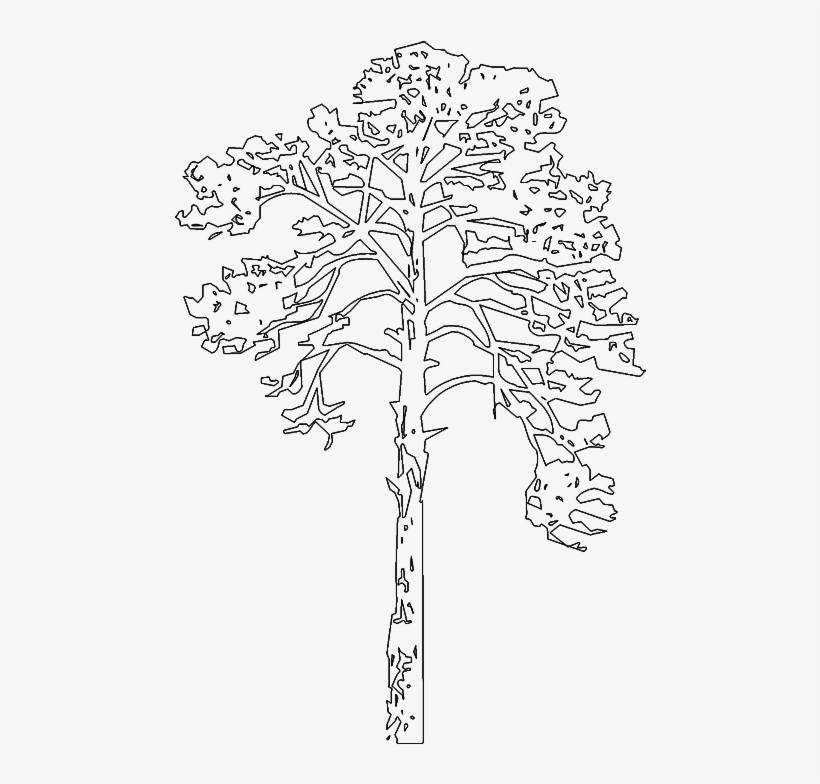 Line Art, transparent png #1342386