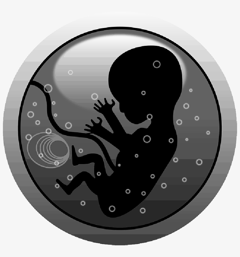 Mb Image/png - Baby On Board 60" Curtains, transparent png #1342470