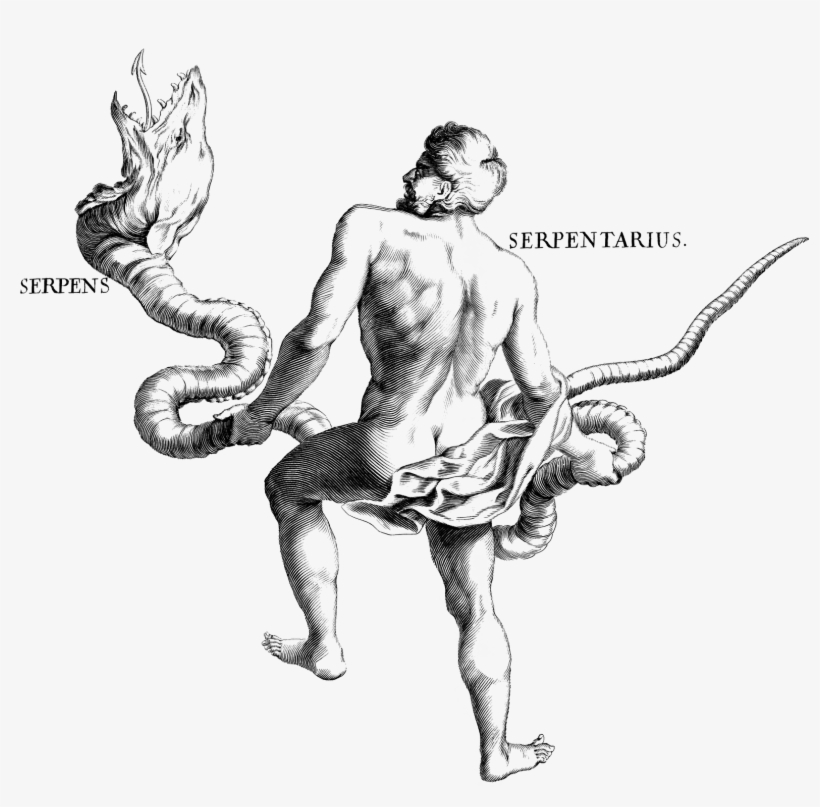 Thirteenth Zodiac Sign Ophiuchus Reintroduced - Serpent Priest - Free  Transparent PNG Download - PNGkey