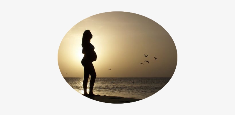 Pregnancy - Another Chance [book], transparent png #1342986