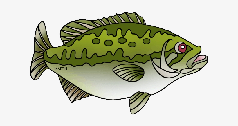 Image Free Bass Fishing Clipart - Ky Spotted Bass Fish, transparent png #1343063