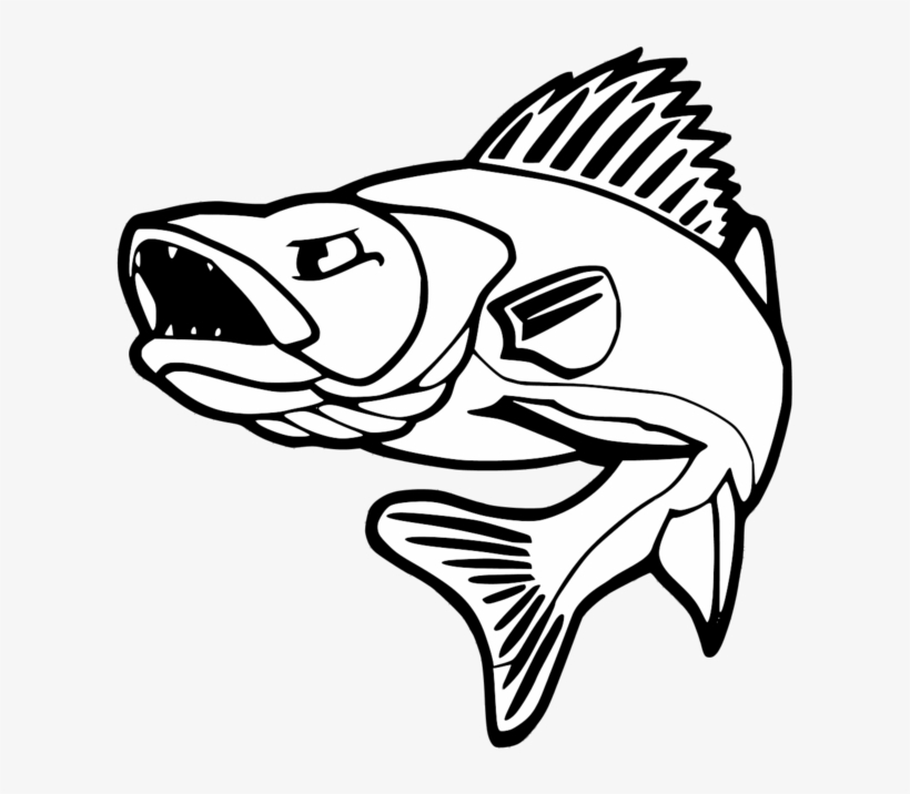 Vector Free Download At Getdrawings Com Free For Personal - Walleye Fishing, transparent png #1343195
