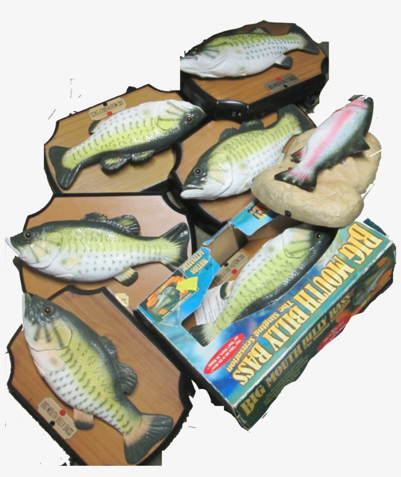 Fish - Illustration, transparent png #1343491