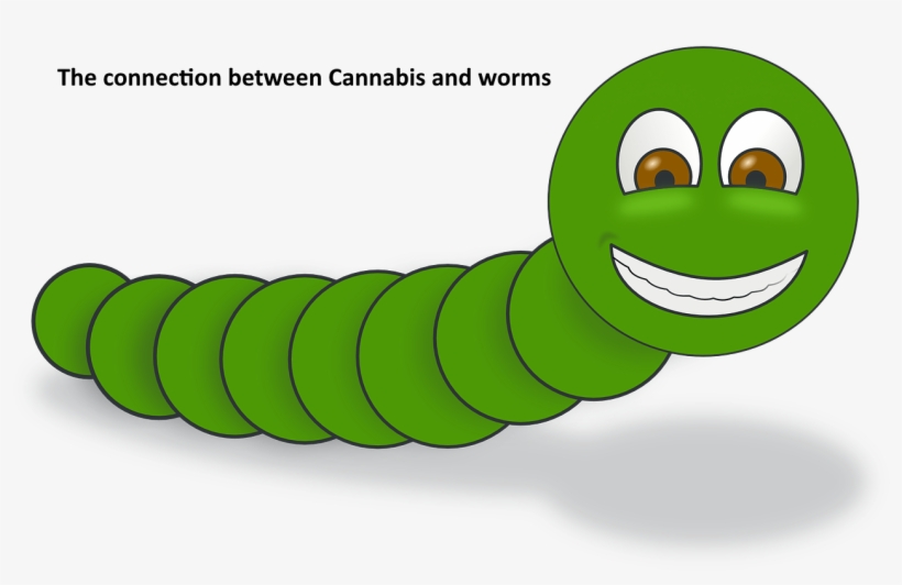 The Connection Between Cannabis And Worms - Worm Png, transparent png #1343508