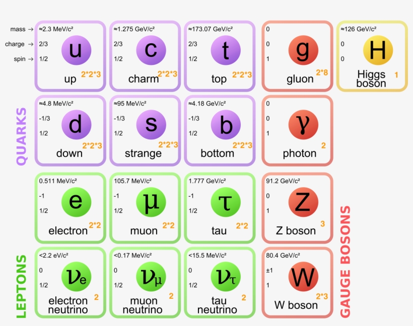 Images/standard Model Of Elementary Particles - Standard Model Of Particle Physics, transparent png #1343673
