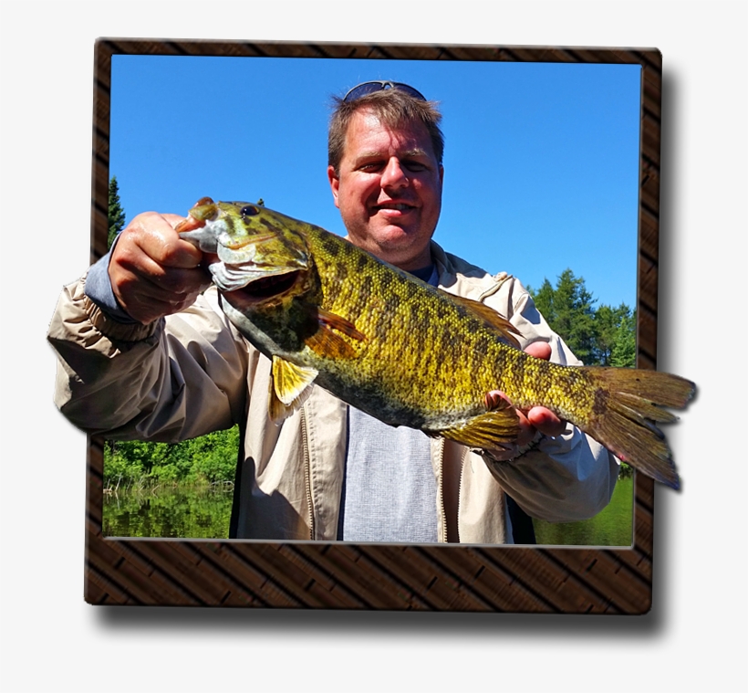 Ontario Smallmouth Bass Fishing - Ontario, transparent png #1343722
