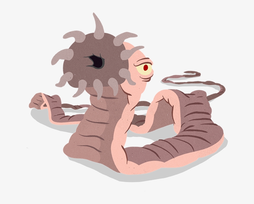 Worms Clipart Parasitic Worm - Toxocara Cati, transparent png #1343775