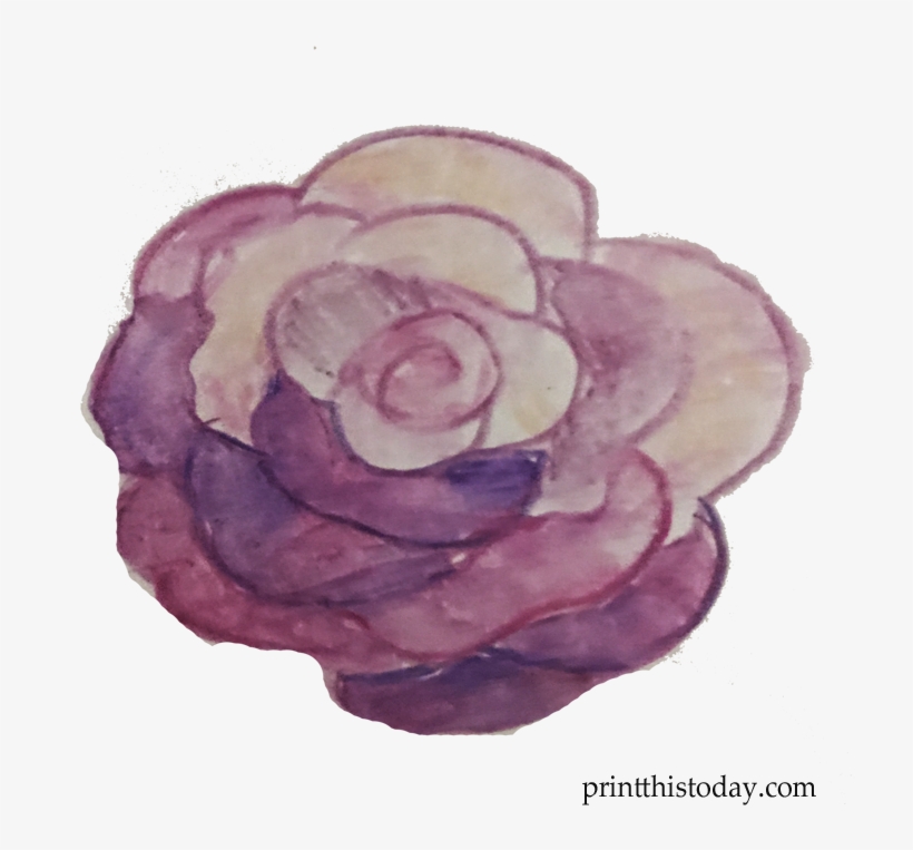 Free Handmade Watercolor Rose Clipart - Floribunda, transparent png #1343826