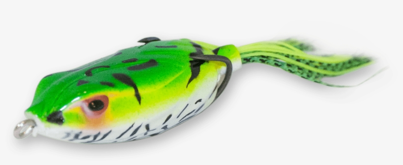 Leopard - Blowfish, transparent png #1343906