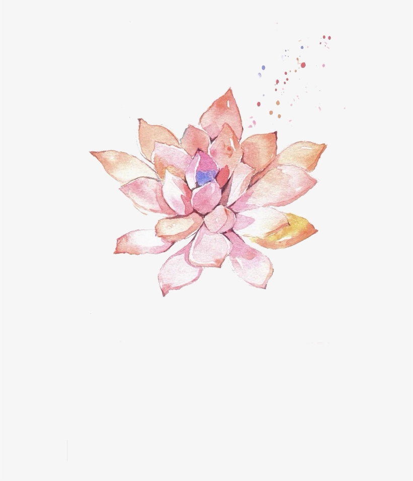 Real Flowers Png - Sacred Lotus, transparent png #1343907