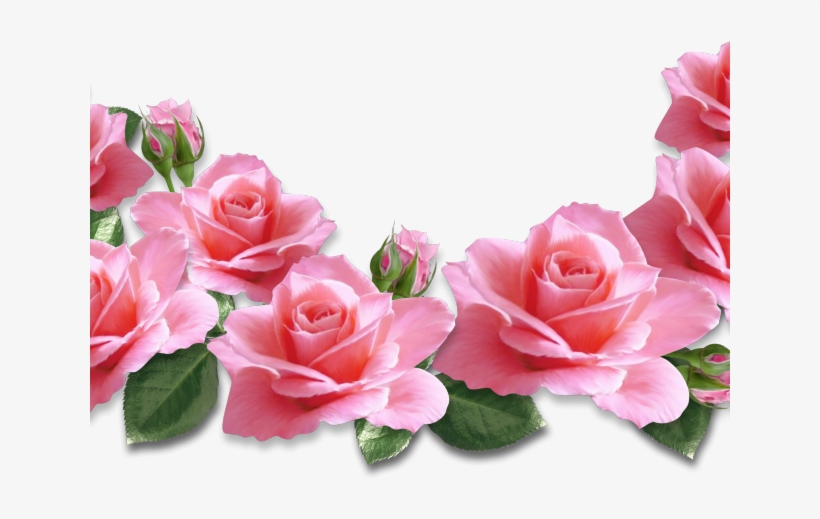 Pink Flower Clipart Real Rose - Pink Rose Clipart Png, transparent png #1344067