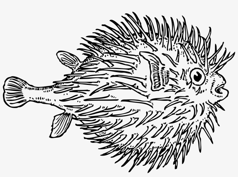 Pufferfish Fugu Clip Art - Blow Fish Clip Art, transparent png #1344119