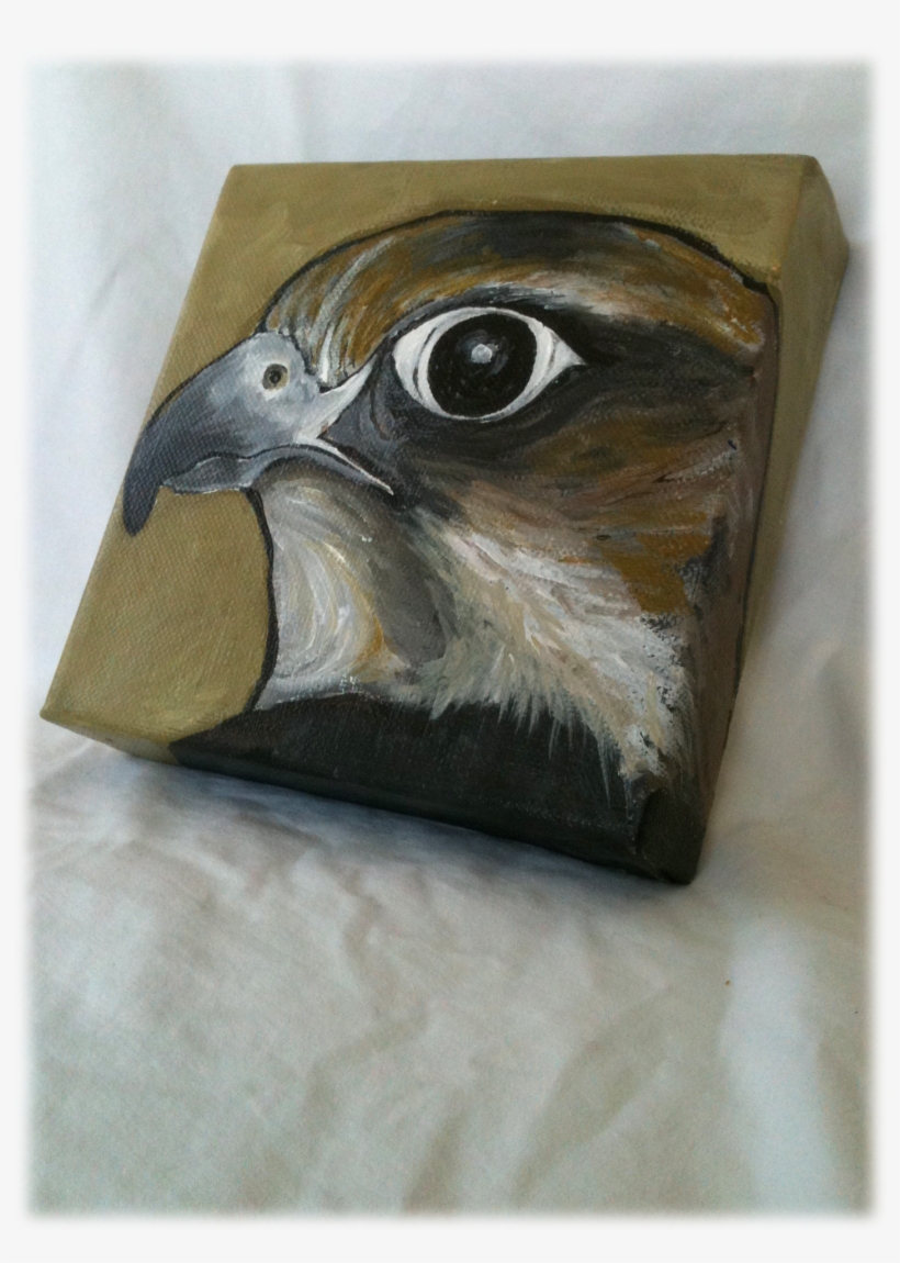 Peregrine Falcon - Painting, transparent png #1344325