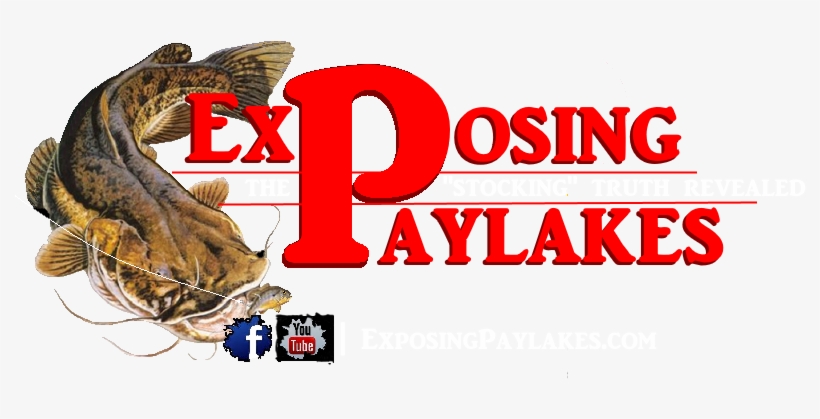 Logo, transparent png #1344422