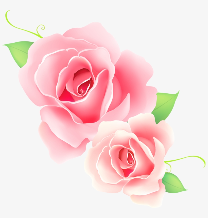 Яндекс - Фотки - Pink Rose Png Vector, transparent png #1344560
