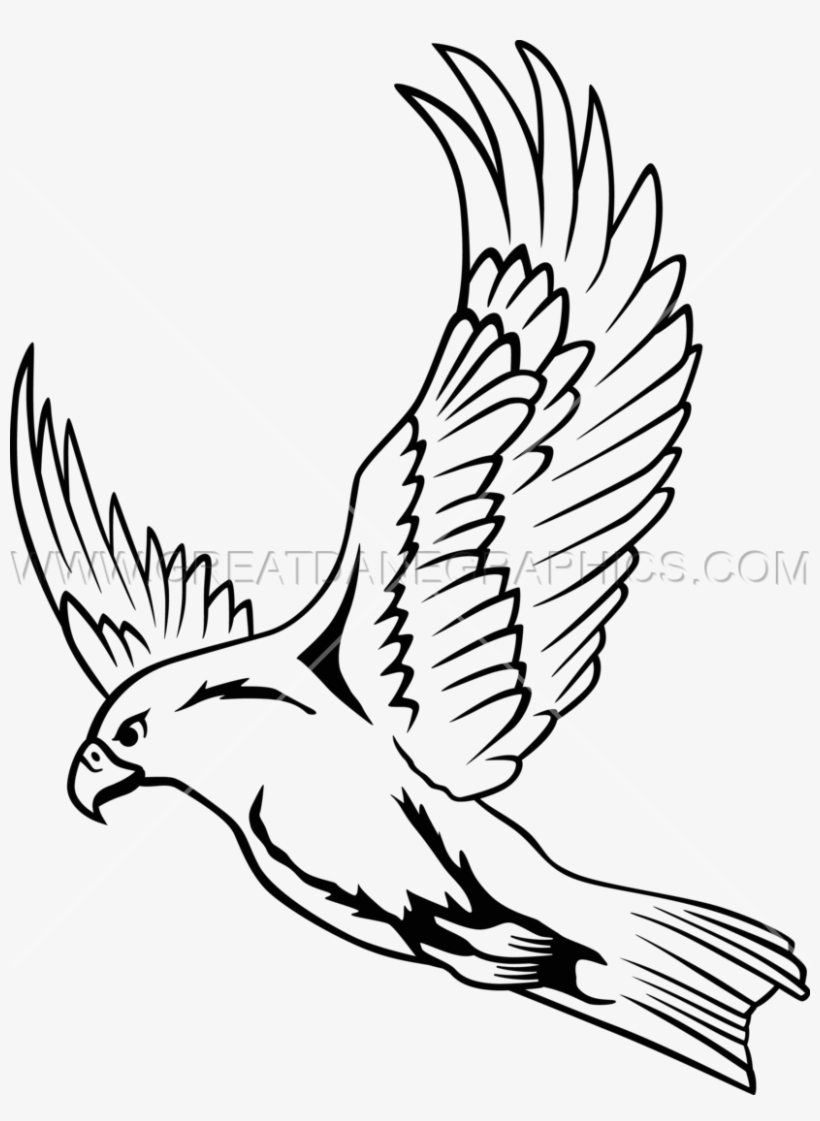 28 Collection Of Falcon Drawing Images - Clipart Of Flying Falcon, transparent png #1344761