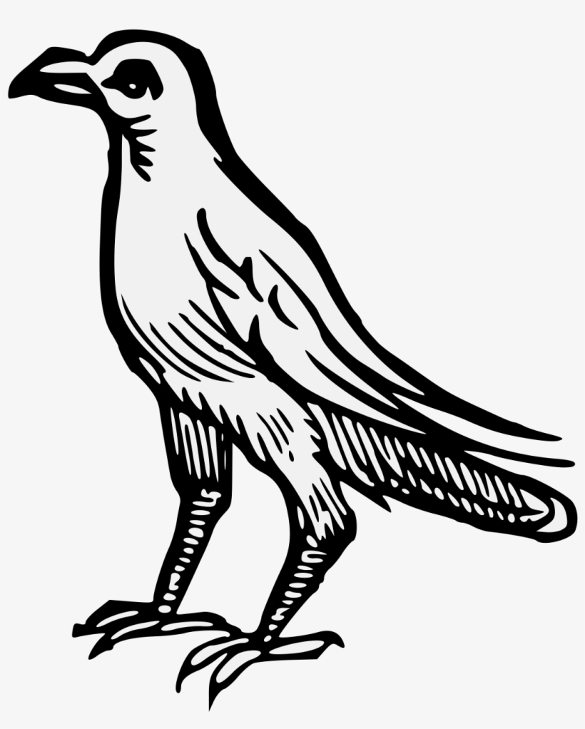 Details, Png - Scalable Vector Graphics, transparent png #1344994