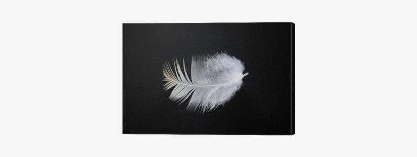 Poster, transparent png #1345171