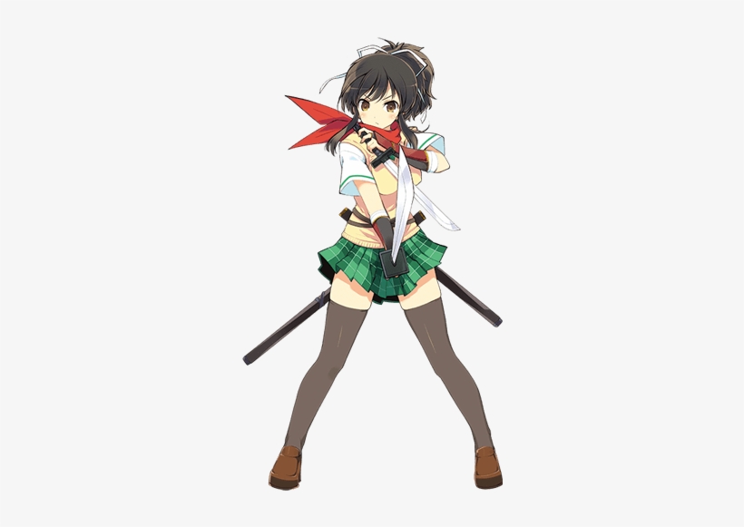 Https - //static - Tvtropes - Org/pmwiki/pub/images/ - Senran Kagura Characters, transparent png #1345588