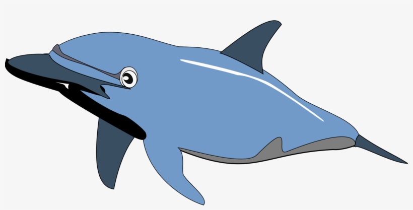 Common Bottlenose Dolphin Drawing Cetacea - Dolphin Clip Art, transparent png #1345826