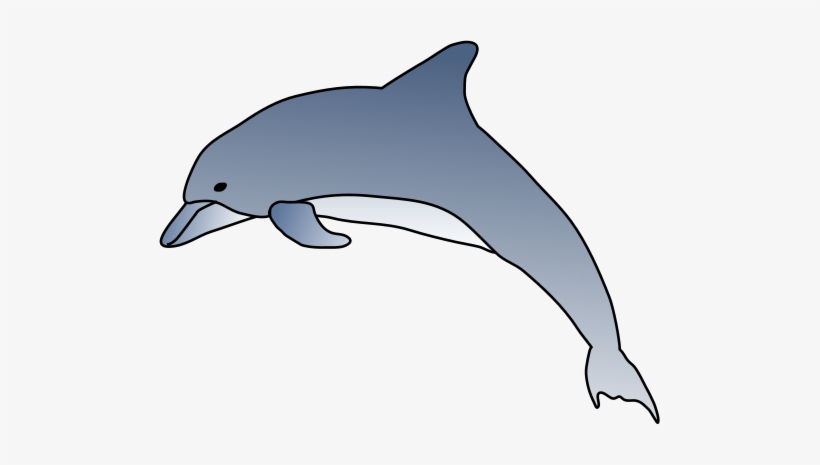 Drawn Dolphins Animation - Bottlenose Dolphin Drawings, transparent png #1345868