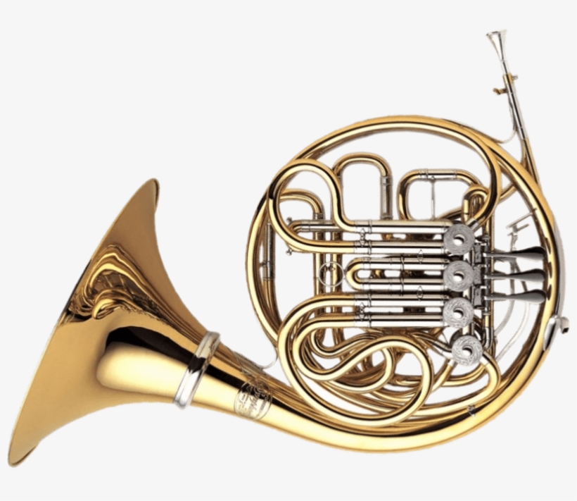 Download - French Horn, transparent png #1346026