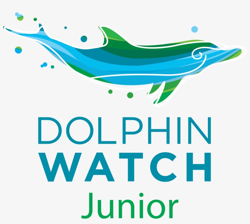 Junior Dolphin Watch - Thanks For Watching Any Questions, transparent png #1346369