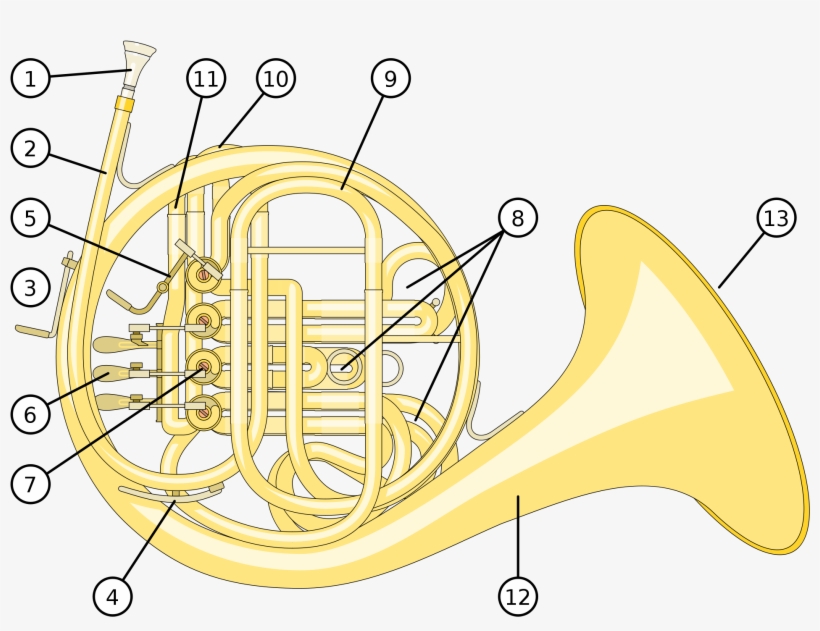 Open - French Horn, transparent png #1346426