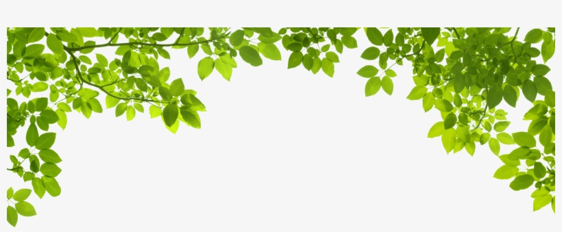 Green Leaf Border Png, transparent png #1347082