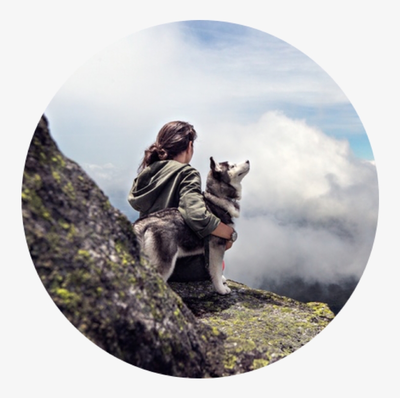 Training A Dog Can Be Hard, Annoying, And Frustrating - Travel With Dog In Mountain, transparent png #1347648
