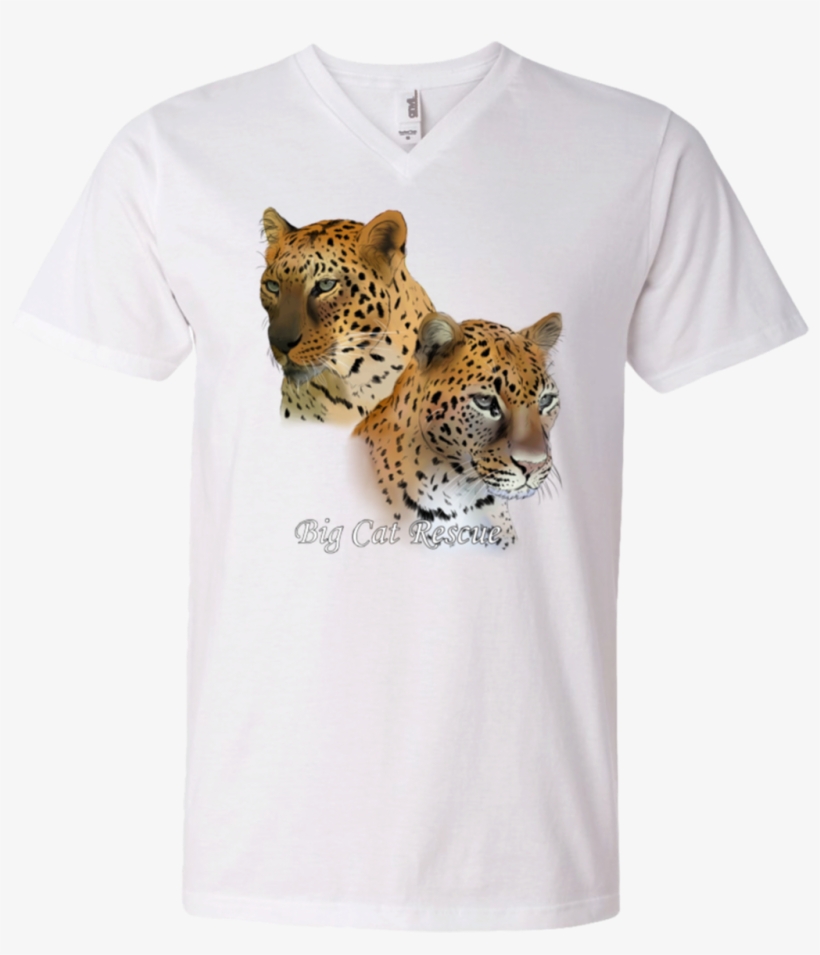 Bcr Jade And Armani Leopard Color 982 Anvil Men's Printed - T-shirt, transparent png #1348006