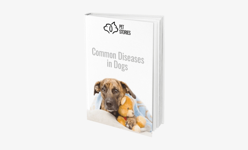 Dog Diseases Ebook - Dog, transparent png #1348027