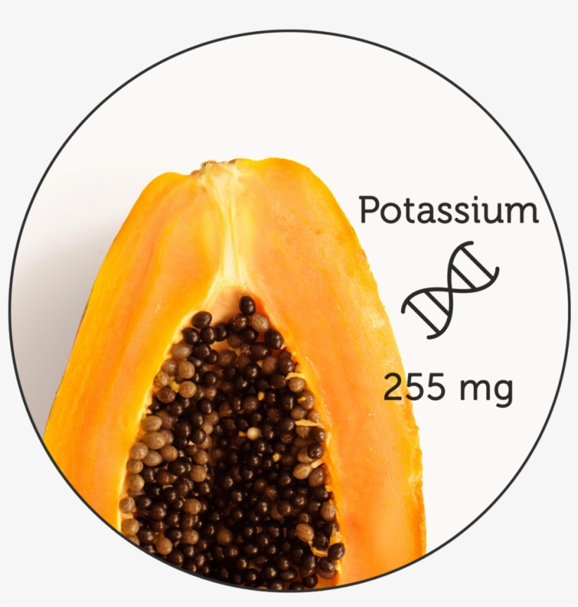 Nutritional Science Icon - Food, transparent png #1349584