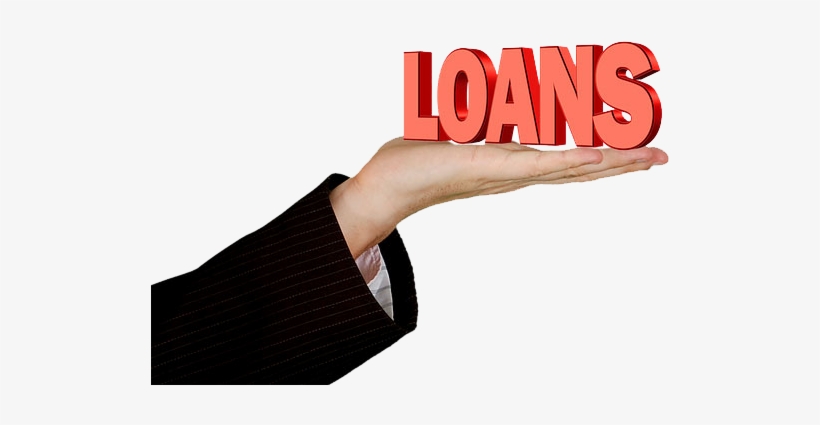 Loan In Hand Vectors - Bank Loan, transparent png #1349693