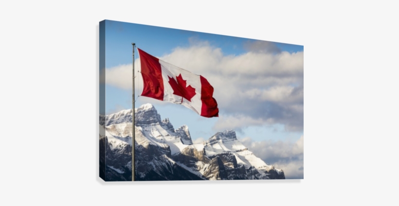 Canadian Flag Blowing In The Wind On A Flag Pole With - Supplier Generic Canadian Flag Blowing In The Wind, transparent png #1350357