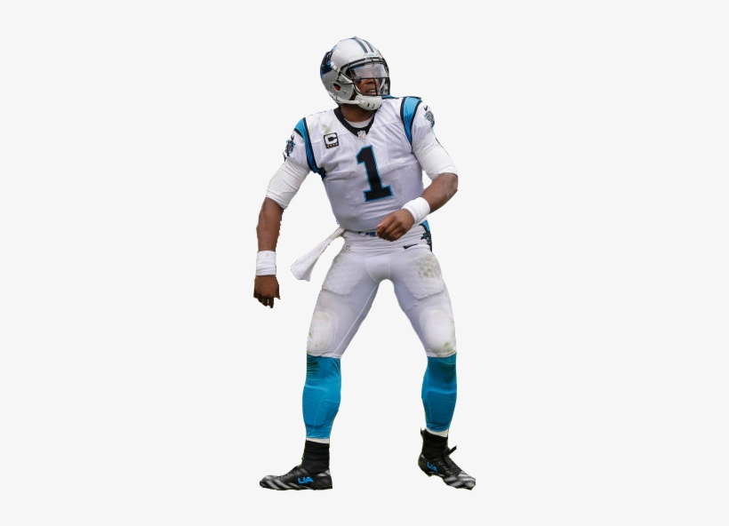 Personcam Newton And Referee Ed Hochuli Arguing Over - Cam Newton Cut Out, transparent png #1352381