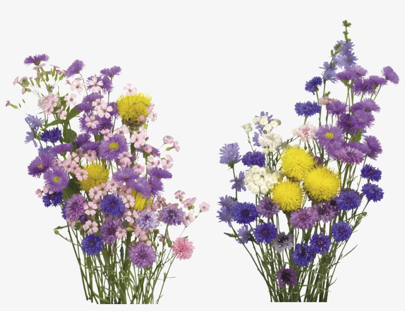 English Lavender Cut Flowers - Free Flower Overlay Png, transparent png #1353176
