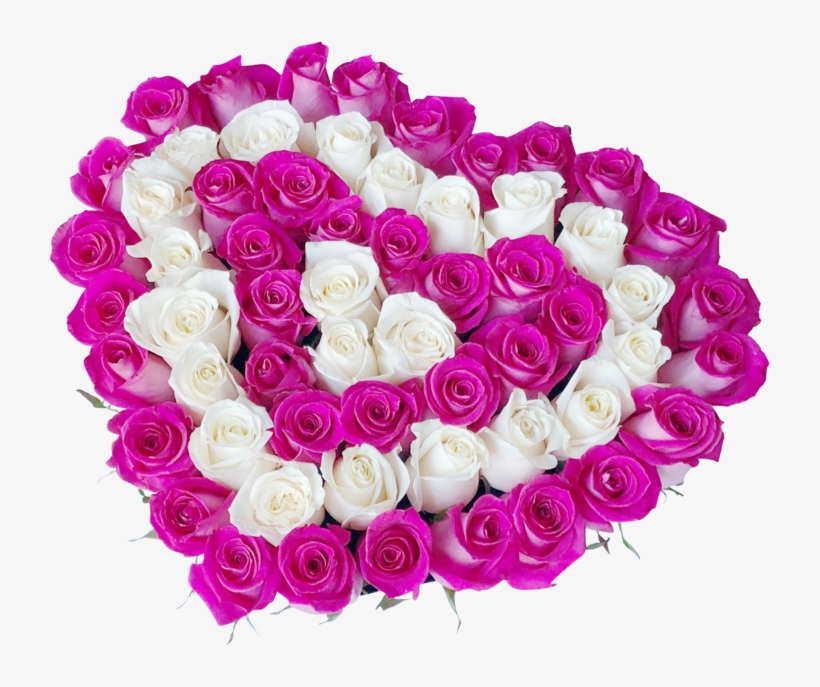 Heart Shape- Fresh Cut Roses - Rose, transparent png #1353275