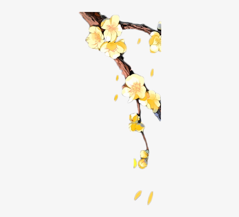 【素材】古风小物件 橙光游戏吧 百度贴吧 - Hoa Mai Hoạt Hình, transparent png #1355075