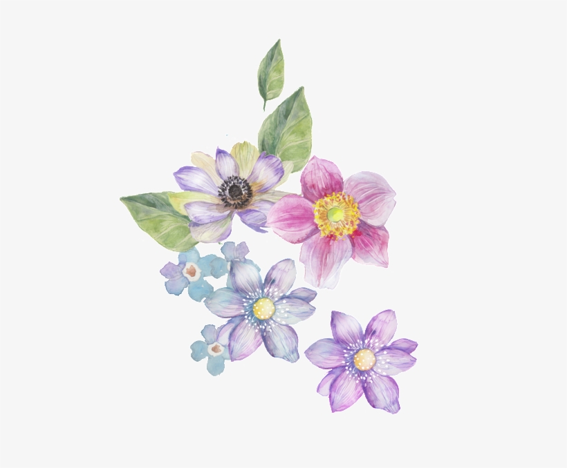 Four Color Flower Transparent Decorative - Flower, transparent png #1355221